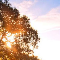 I(y)W(wng)վI(y)ھW(wng)չʾT(mn)(h)I(y)_(ki)չӽ׵ĻI(y)W(wng)ϵļ